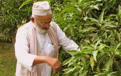 Padmashree Kaleem Ullah Khan