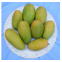 Soya Oil