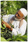 Padmashree Kaleem Ullah Khan